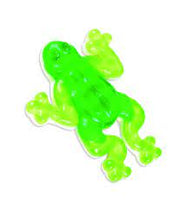 Rana Gigante Brillante